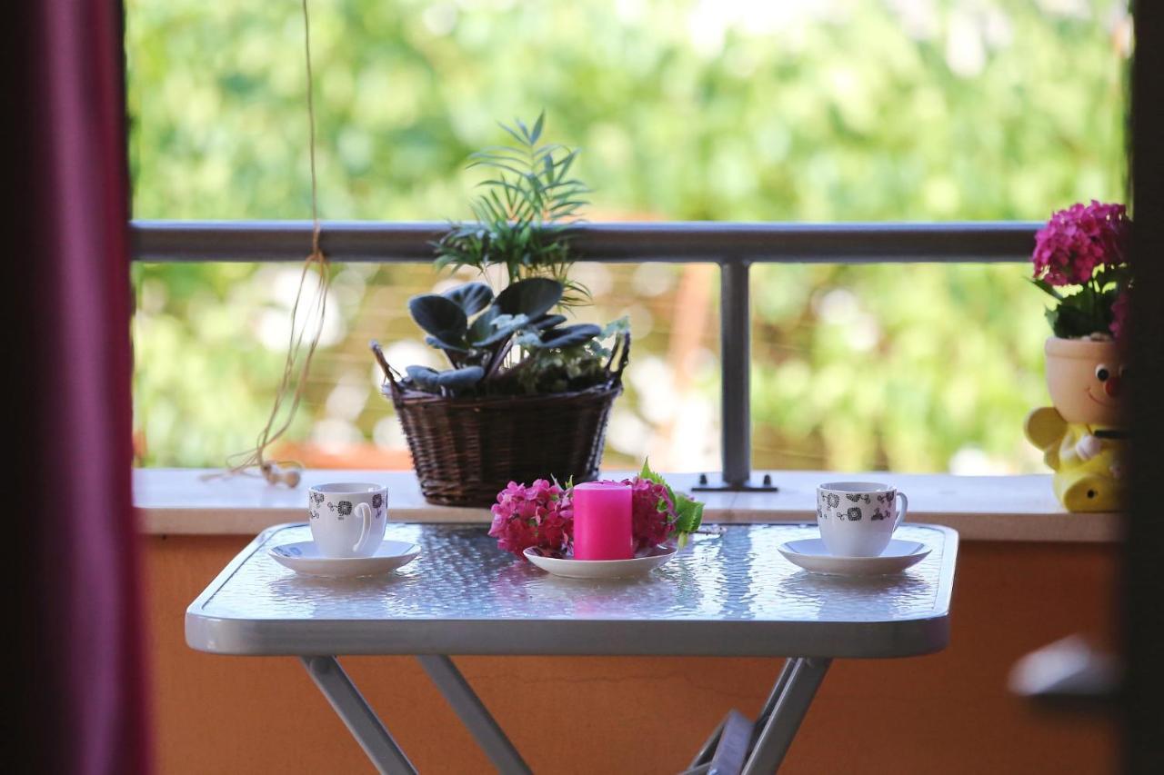 Apartmani My Dream زادار المظهر الخارجي الصورة
